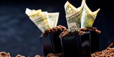 The Business Finance